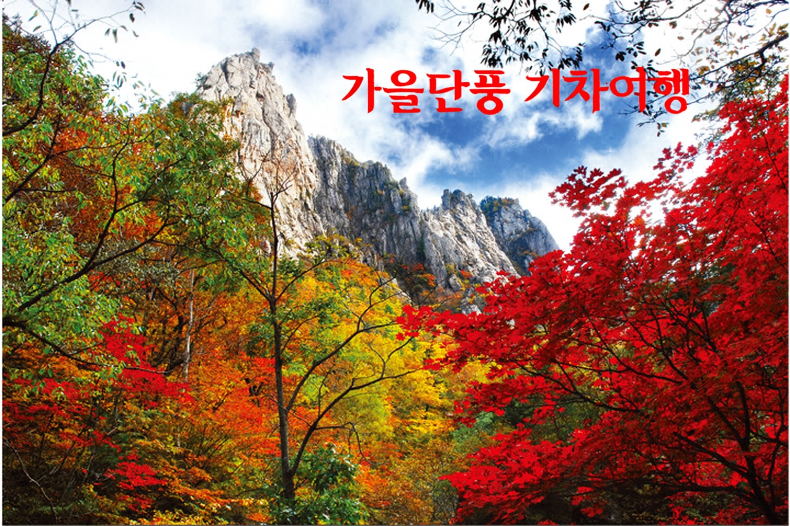 /upload/oneclick/file/we1100/202509/oneclick_cm9910_30001059.jpg